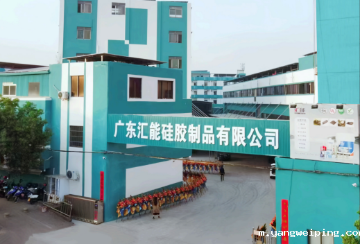 广东汇能硅胶制品有限公司 2025 年发展动态：技术创新与社会责任双轮驱动