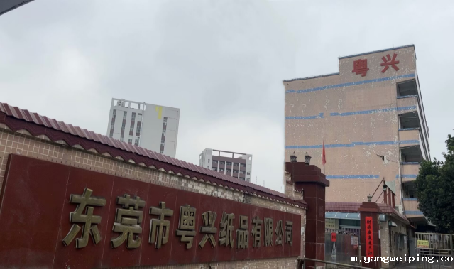 东莞市粤兴纸品有限公司：环保包装领域的创新领航者